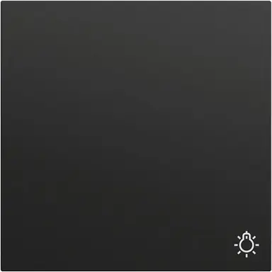 Gira 328574 schakelwip met symbool licht Systeem 70 zwart mat