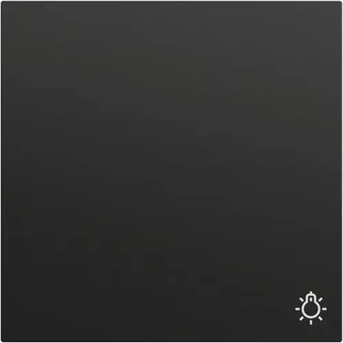 Gira 328574 schakelwip met symbool licht Systeem 70 zwart mat