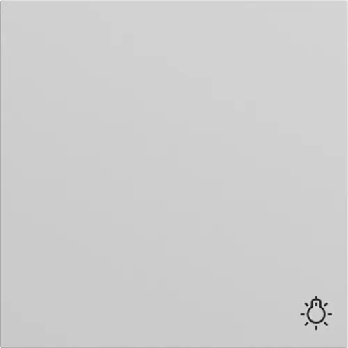 Gira 328576 schakelwip met symbool licht Systeem 70 grijs mat