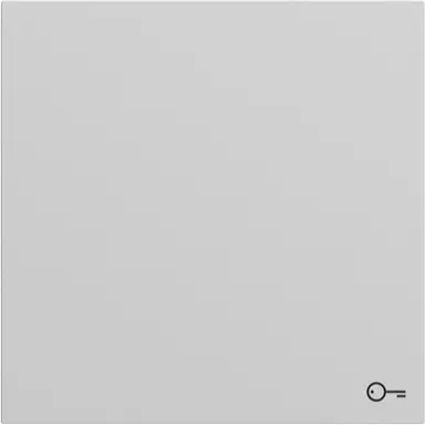 Gira 328776 schakelwip met symbool deur Systeem 70 grijs mat