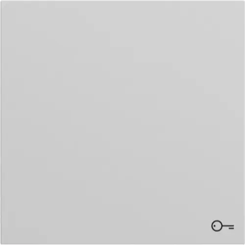 Gira 328776 schakelwip met symbool deur Systeem 70 grijs mat