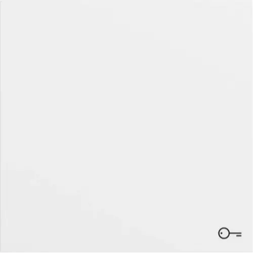 Gira 328772 schakelwip met symbool deur Systeem 70 wit mat