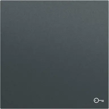 Gira 328773 schakelwip met symbool deur Systeem 70 antraciet mat