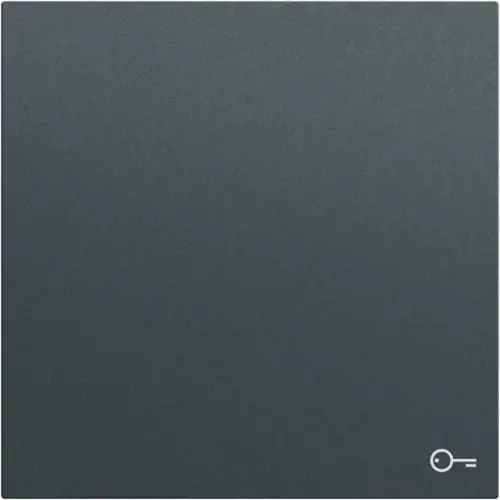 Gira 328773 schakelwip met symbool deur Systeem 70 antraciet mat