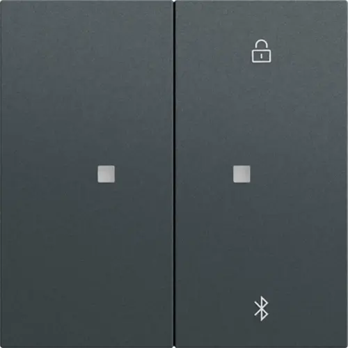Gira 538173 Systeem 3000 Bluetooth bedieningselement Systeem 70 antraciet mat