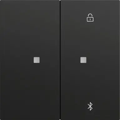 Gira 538174 Systeem 3000 Bluetooth bedieningselement Systeem 70 zwart mat