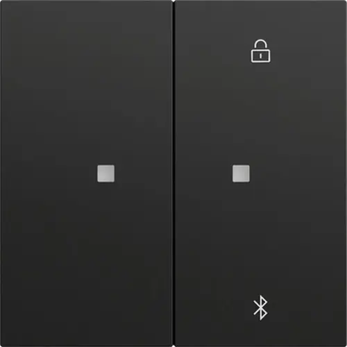 Gira 538174 Systeem 3000 Bluetooth bedieningselement Systeem 70 zwart mat