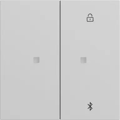 Gira 538176 Systeem 3000 Bluetooth bedieningselement Systeem 70 grijs mat