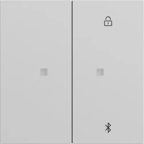 Gira 538176 Systeem 3000 Bluetooth bedieningselement Systeem 70 grijs mat