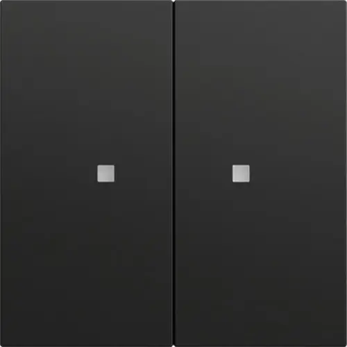 Gira 517374 drukcontact met 2-voudige wip voor Gira One en KNX Systeem 70 zwart mat