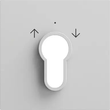 Gira 066476 afdekking voor sleutelschakelaar en -drukcontact Systeem 70 grijs mat