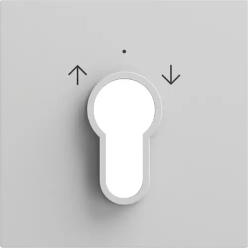Gira 066476 afdekking voor sleutelschakelaar en -drukcontact Systeem 70 grijs mat
