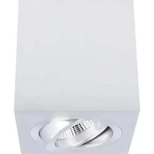 Yphix 50114804 Palermo opbouwspot 1-voudig kantelbaar geborsteld aluminium