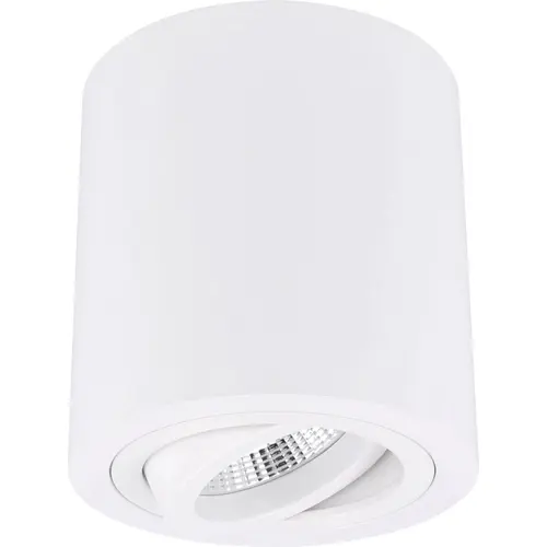 Yphix 50114822 Roma opbouwspot 1-voudig kantelbaar wit rond