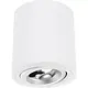 Yphix 50114823 Roma AR111 opbouwspot rond kantelbaar wit