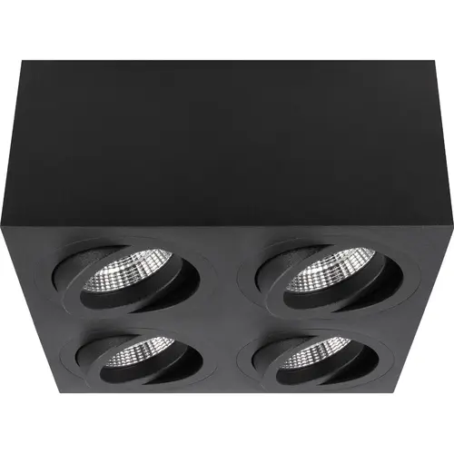 Yphix 50114860 Palermo carré opbouwspot 4-voudig kantelbaar zwart