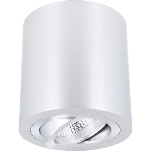 Yphix 50114802 Roma opbouwspot 1-voudig kantelbaar geborsteld aluminium rond