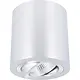 Yphix 50114802 Roma opbouwspot 1-voudig kantelbaar geborsteld aluminium rond