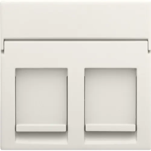 Niko 139-65200 Intense centraalplaat voor 2 RJ-data-aansluitingen cotton white textured