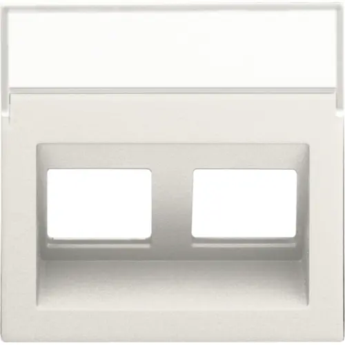 Niko 139-65400 Intense centraalplaat voor 2 RJ-data-aansluitingen met schuine uitgang cotton white textured