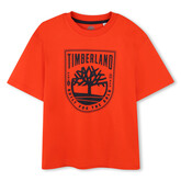 Timberland AW24 T-Shirt - T60291