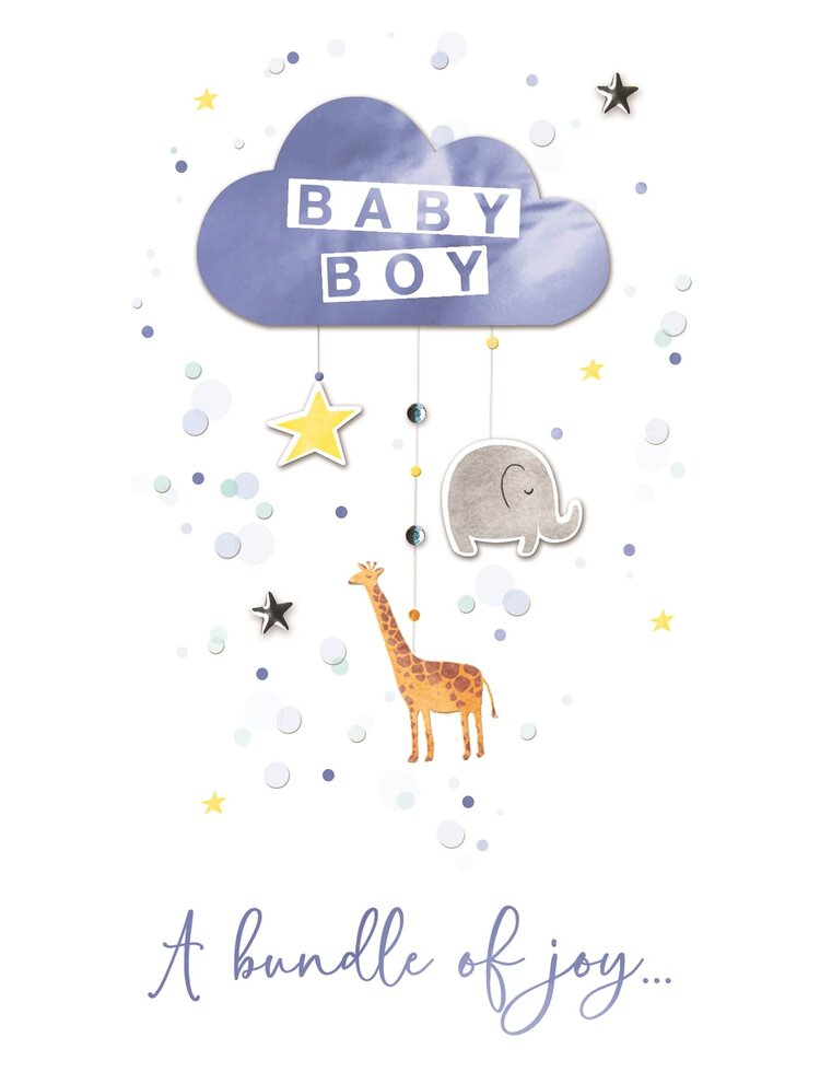 Second Nature Baby Boy Mobile Card