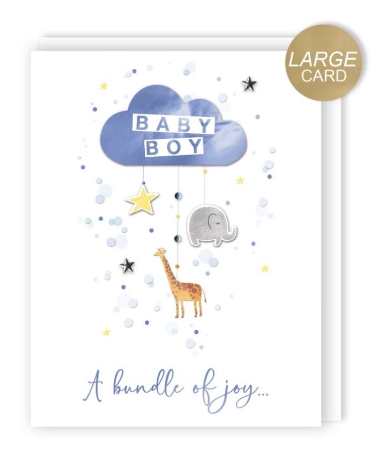 Second Nature Baby Boy Mobile Card