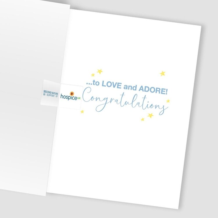 Second Nature Giraffe Baby Boy Card