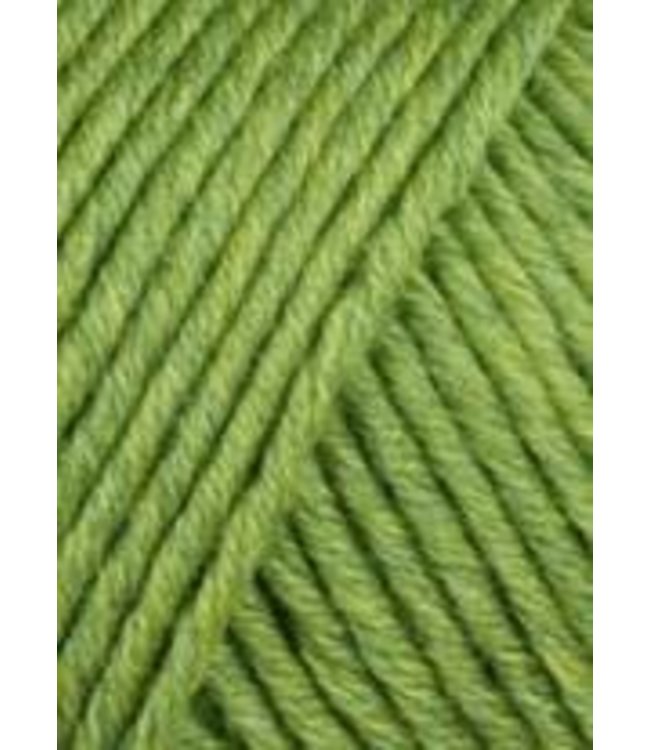 Lang Yarns - Merino+ 152.0297