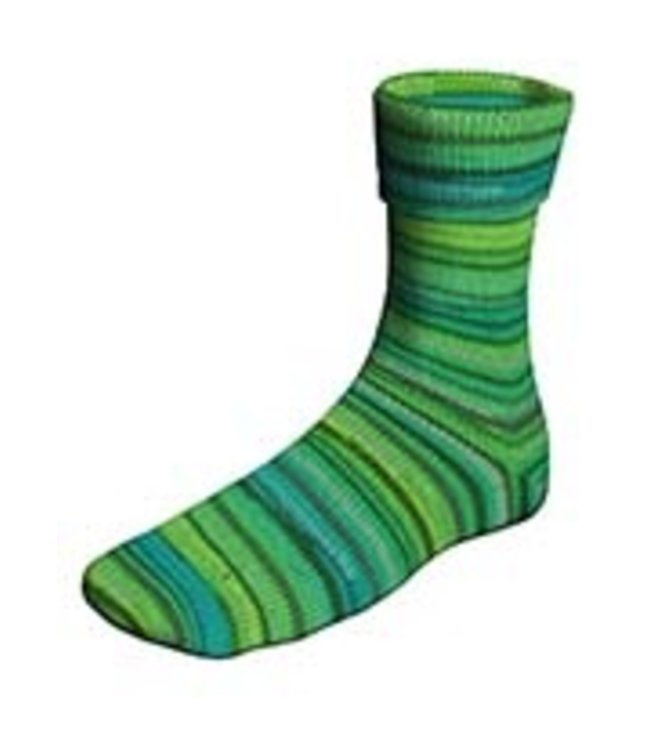 Lang Yarns - Super SOXX Color Capital Cities2 4 ply 901.0381