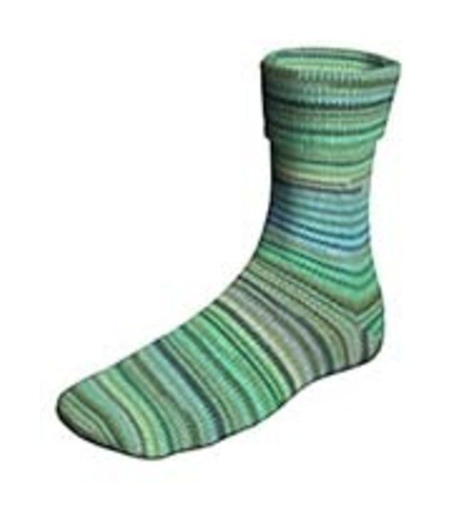 Lang Yarns - Super SOXX Color Capital Cities2 4 ply 901.0384