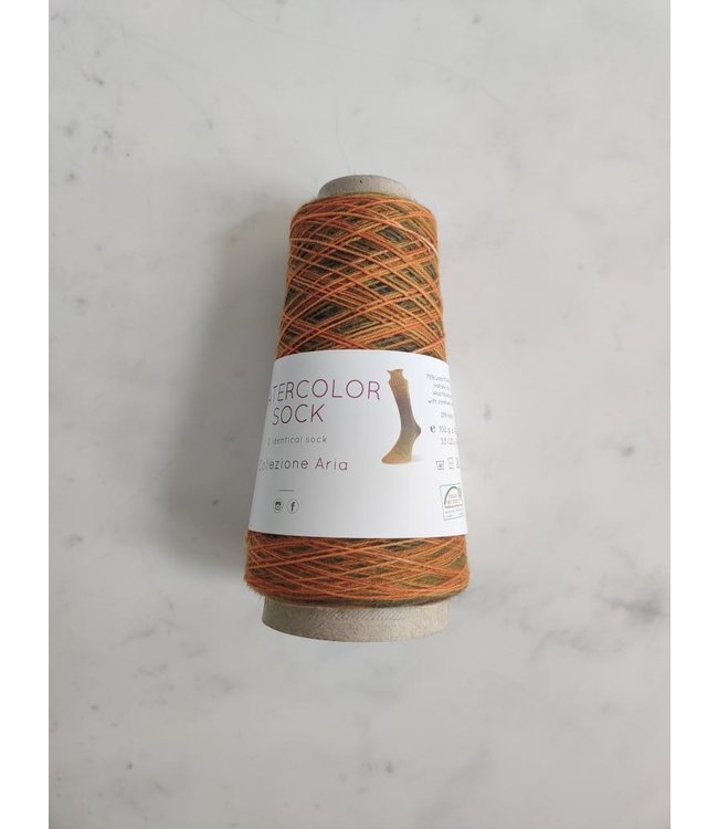 Laines du Nord - Watercolor Sock - 103