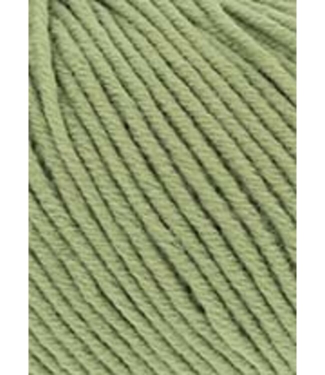 Lang Yarns - Merino 120 34.0198