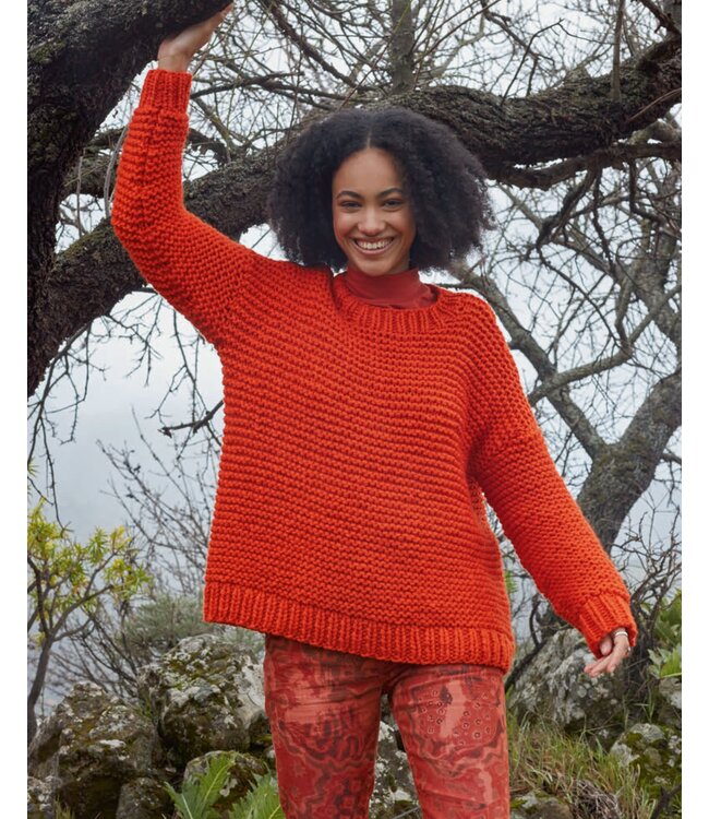 Lang Yarns - Wooladdicts #11