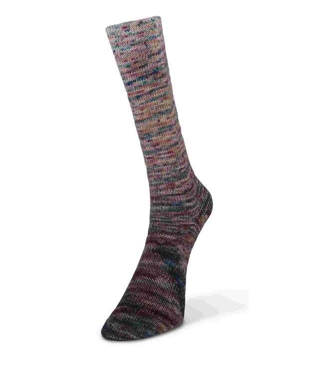 Laines du Nord - Paint Gradient Sock 12