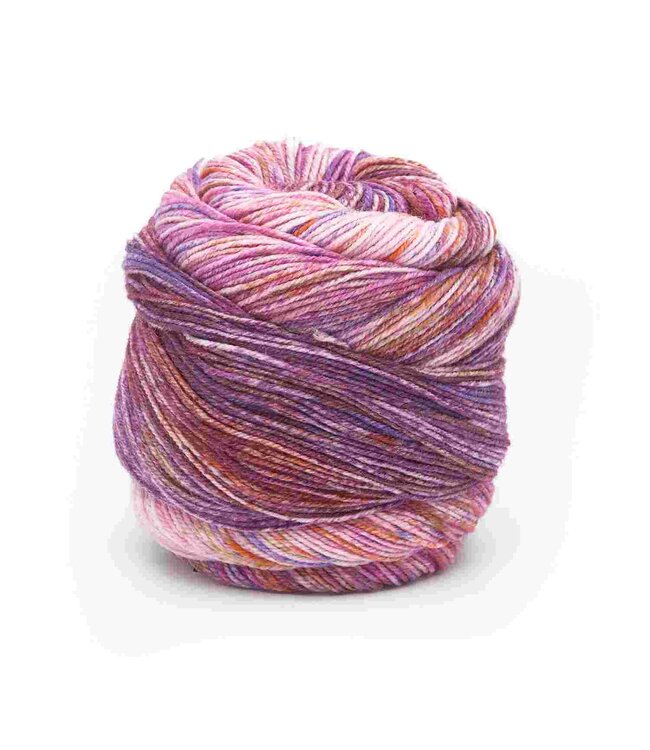 Laines du Nord - Paint Gradient Sock 13