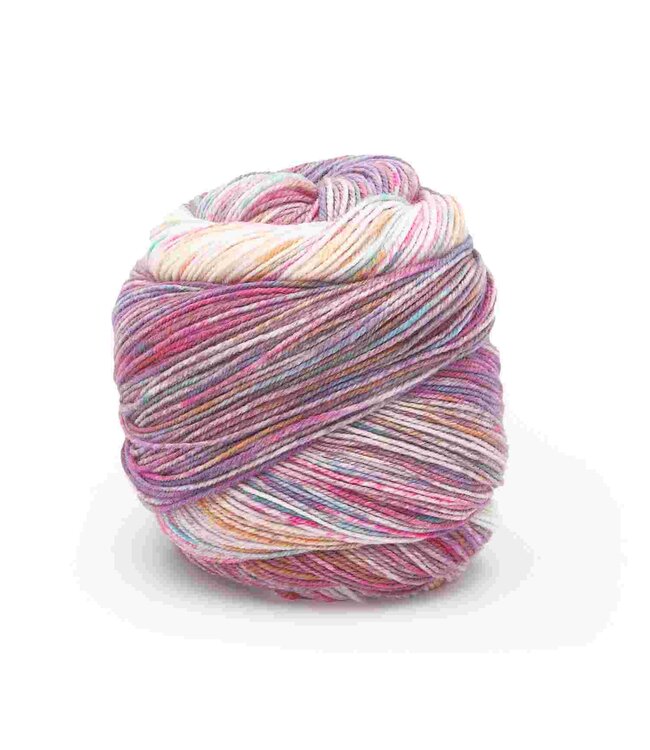 Laines du Nord - Paint Gradient Sock 15
