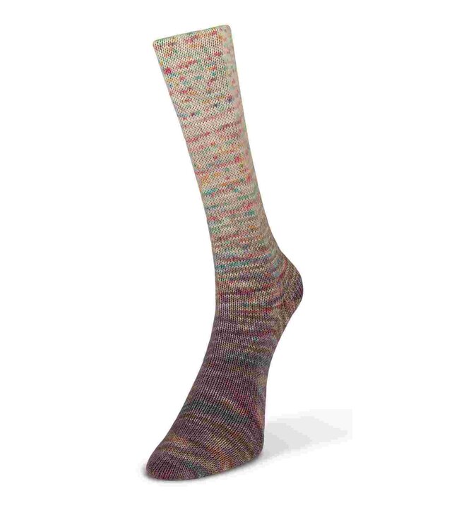 Laines du Nord - Paint Gradient Sock 15