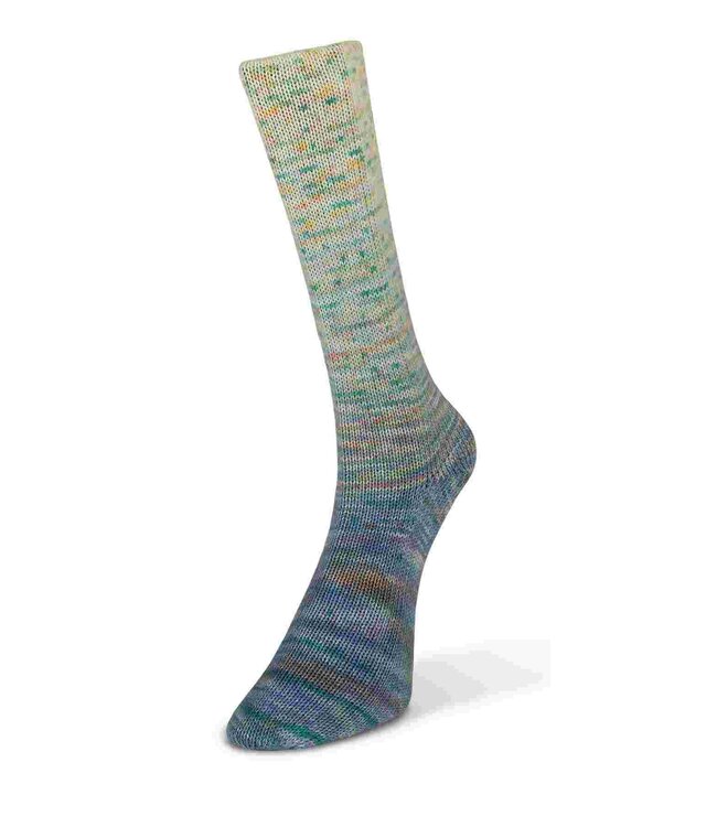 Laines du Nord - Paint Gradient Sock 16