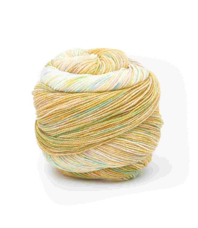 Laines du Nord - Paint Gradient Sock 17