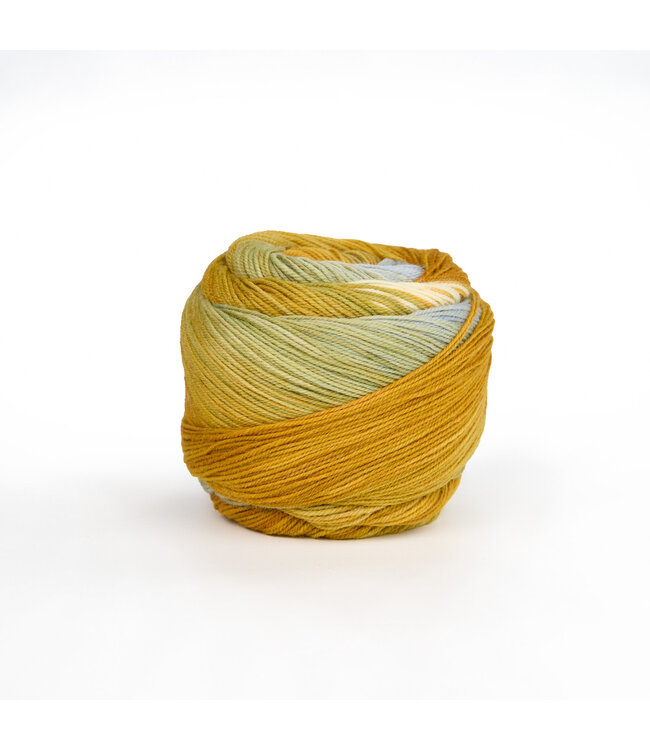 Laines du Nord - Watercolor Sock - 203