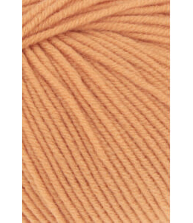 Lang Yarns - Merino 120 34.0428