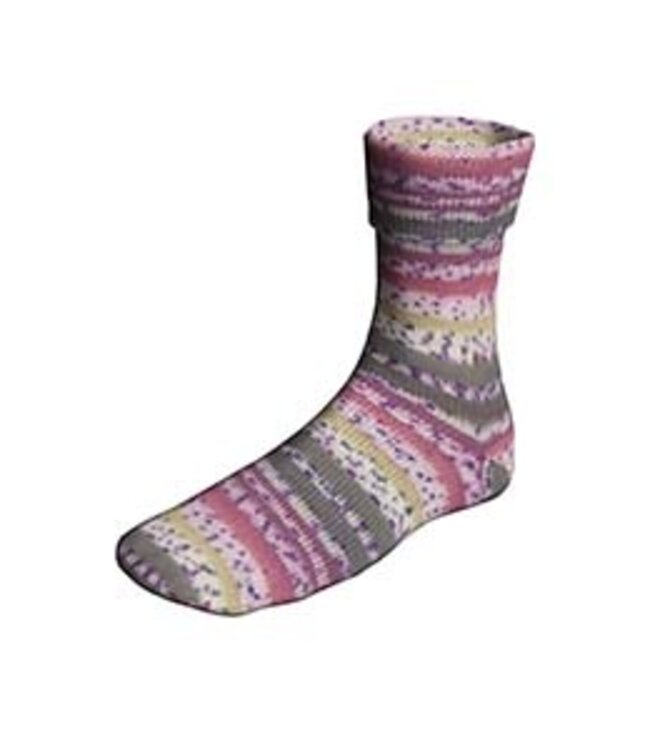 Lang Yarns - Super SOXX Bamboo Color BirdSoxx 4 ply 641.0513