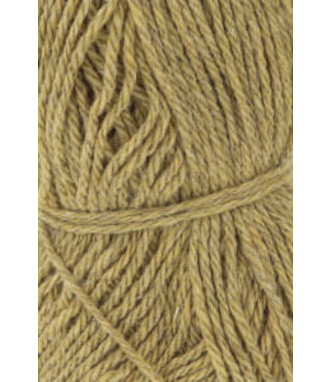 Lang Yarns - Donegal Woolen Spun 1172.0050