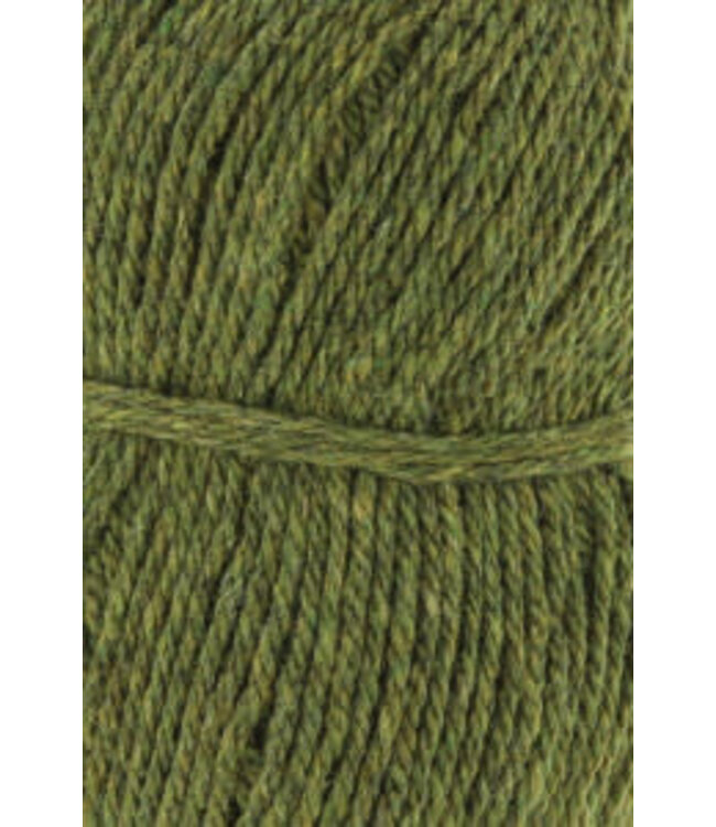Lang Yarns - Donegal Woolen Spun 1172.0097