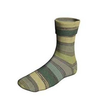 Lang Yarns Lang Yarns - Super SOXX merino Color ElementSoxx 4 ply 640.0527