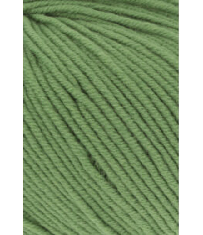 Lang Yarns - Merino 120 34.0418