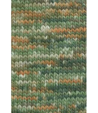 Lang Yarns Lang Yarns - Bold Color 1098.0001 (1 bol)