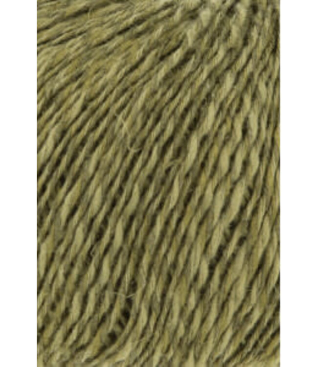 Lang Yarns - Wooladdicts Pride 1090.0117