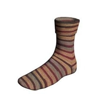 Lang Yarns Lang Yarns - Super SOXX Color PainterlySoxx 4 ply 901.0550